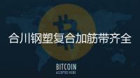 合川鋼塑復(fù)合加筋帶齊全