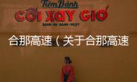 合那高速（關(guān)于合那高速的基本情況說明介紹）