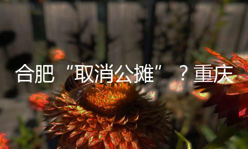合肥“取消公攤”？重慶已經試了21年，香港更徹底