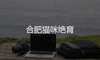 合肥貓咪絕育