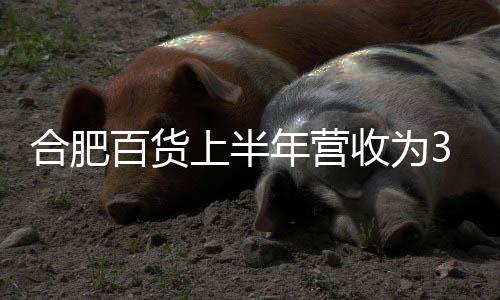 合肥百貨上半年營收為32.29億 凈利同比增長43.9%至1.38億