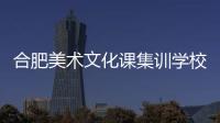 合肥美術文化課集訓學校