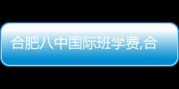 合肥八中國際班學費,合肥八中國際班