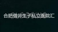 合肥借卵生子私立醫(yī)院匯總，2024哪家排名好一覽了然