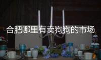 合肥哪里有賣狗狗的市場(chǎng)(合肥哪里有賣狗的地方)