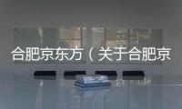 合肥京東方（關于合肥京東方的基本情況說明介紹）