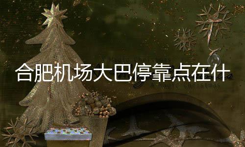 合肥機場大巴停靠點在什么地方（合肥機場大巴停靠點）