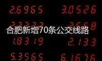 合肥新增70條公交線路“視情停靠”