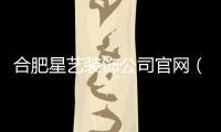 合肥星藝裝飾公司官網(wǎng)（合肥星藝裝飾公司）