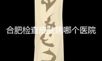 合肥檢查皮膚病哪個醫院好