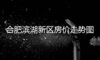 合肥濱湖新區房價走勢圖（合肥濱湖新區房價）