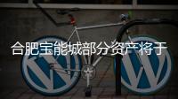 合肥寶能城部分資產將于6月27日拍賣 起拍價50.78億元