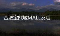 合肥寶能城MALL及酒店進行司法拍賣，起拍價10.75億元