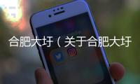 合肥大圩（關于合肥大圩的基本情況說明介紹）