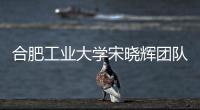 合肥工業(yè)大學(xué)宋曉輝團(tuán)隊(duì)在原位液相TEM領(lǐng)域取得突破