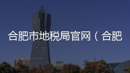 合肥市地稅局官網（合肥地稅網上申報）