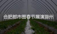 合肥都市圈春節展演滁州專場精彩舉辦_