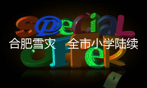合肥雪災　全市小學陸續停課