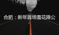 合肥：新年首場雪花降公交客運服務忙