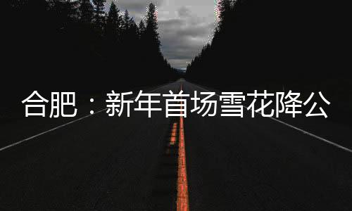 合肥：新年首場雪花降公交客運服務忙