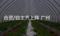 合資/自主齊上陣 廣州車展不容錯過的SUV