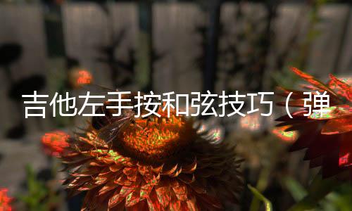 吉他左手按和弦技巧（彈吉他左手按弦技巧）