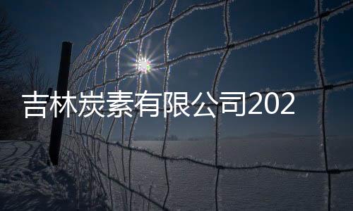 吉林炭素有限公司2022年2月有組織廢氣檢測報告