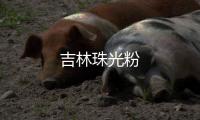 吉林珠光粉