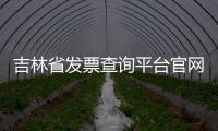 吉林省發(fā)票查詢平臺官網（吉林省發(fā)票查詢）