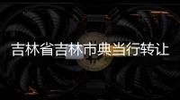 吉林省吉林市典當(dāng)行轉(zhuǎn)讓專業(yè)找代經(jīng)理