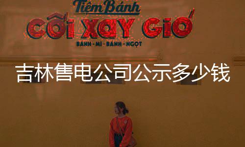 吉林售電公司公示多少錢