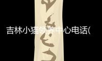 吉林小貓領(lǐng)養(yǎng)中心電話(吉林貓咪領(lǐng)養(yǎng))