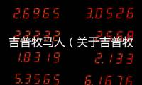 吉普牧馬人（關于吉普牧馬人的基本情況說明介紹）