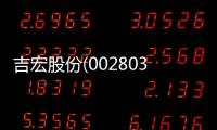吉宏股份(002803SZ)：預計前三季度凈利潤增長583%至625%