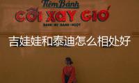 吉娃娃和泰迪怎么相處好？吉娃娃和泰迪怎么相處的