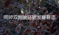 同卵雙胞胎胚胎發(fā)育有遺傳差異