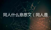 同人什么意思文（同人是什么意思呀）