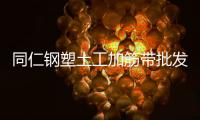 同仁鋼塑土工加筋帶批發價格