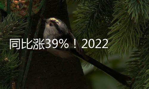 同比漲39%！2022年全國電力市場化交易總覽！