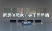 同居俏冤家（關于同居俏冤家的基本情況說明介紹）