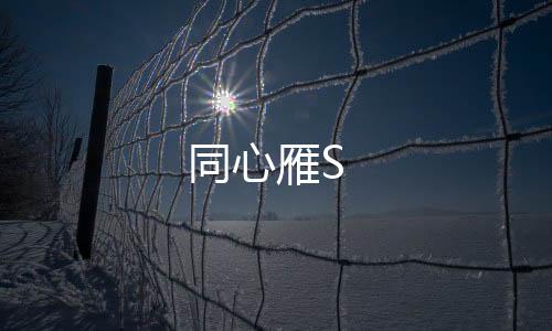 同心雁S