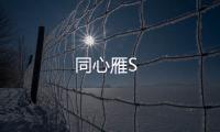 同心雁S