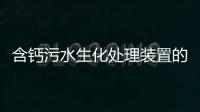含鈣污水生化處理裝置的開車調(diào)試