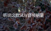 聽說這款SUV自帶明星副駕 出門遠行暢通無阻