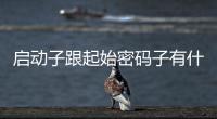 啟動(dòng)子跟起始密碼子有什么關(guān)系（啟動(dòng)子和起始密碼子的區(qū)別）