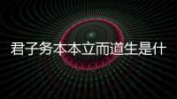 君子務(wù)本本立而道生是什么意思 君子務(wù)本本立而道生的意思
