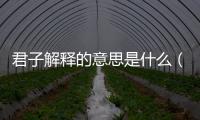 君子解釋的意思是什么（解釋的意思是什么）