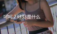 呵呵,23333是什么意思（23333是什么意思）
