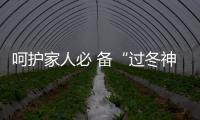 呵護家人必 備“過冬神器” A.O.史密斯櫥下冷熱即飲凈水機