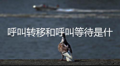 呼叫轉移和呼叫等待是什么意思（呼叫等待是什么意思）
